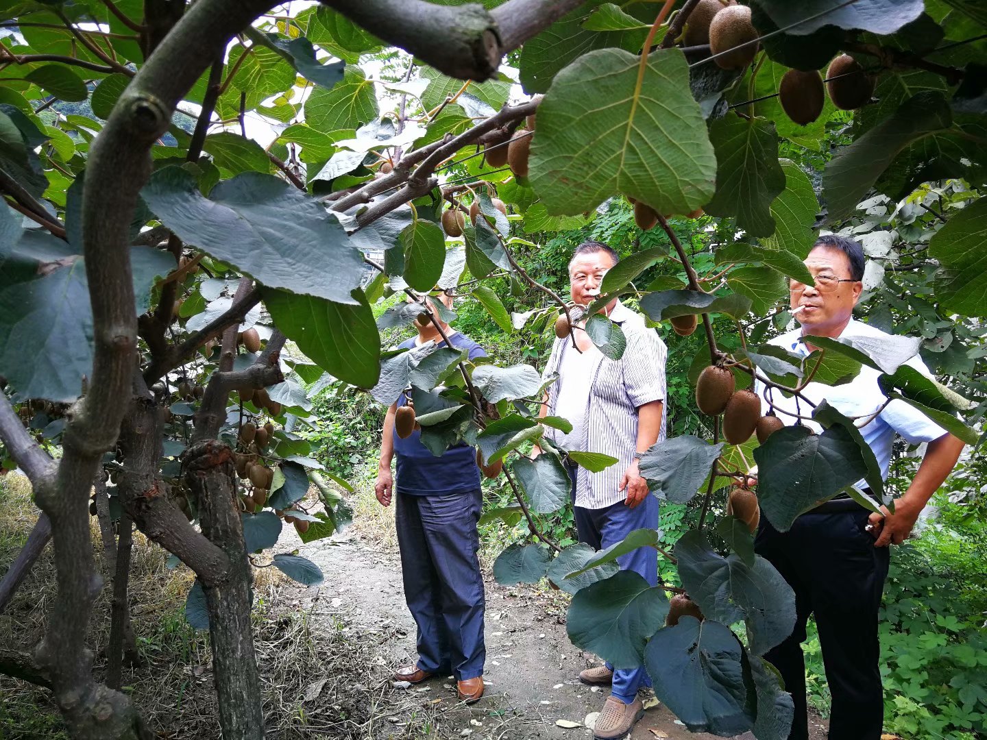 &#107;&#97;&#105;&#121;&#117;&#110;&#20307;&#32946;&#23448;&#26041;&#32593;&#31449;&#20840;&#31449;&#20837;&#21475;&#40;&#107;&#97;&#105;&#121;&#117;&#110;&#41;&#40;&#20013;&#22269;&#41;&#23448;&#32593;&#20837;&#21475;&#30331;&#24405;