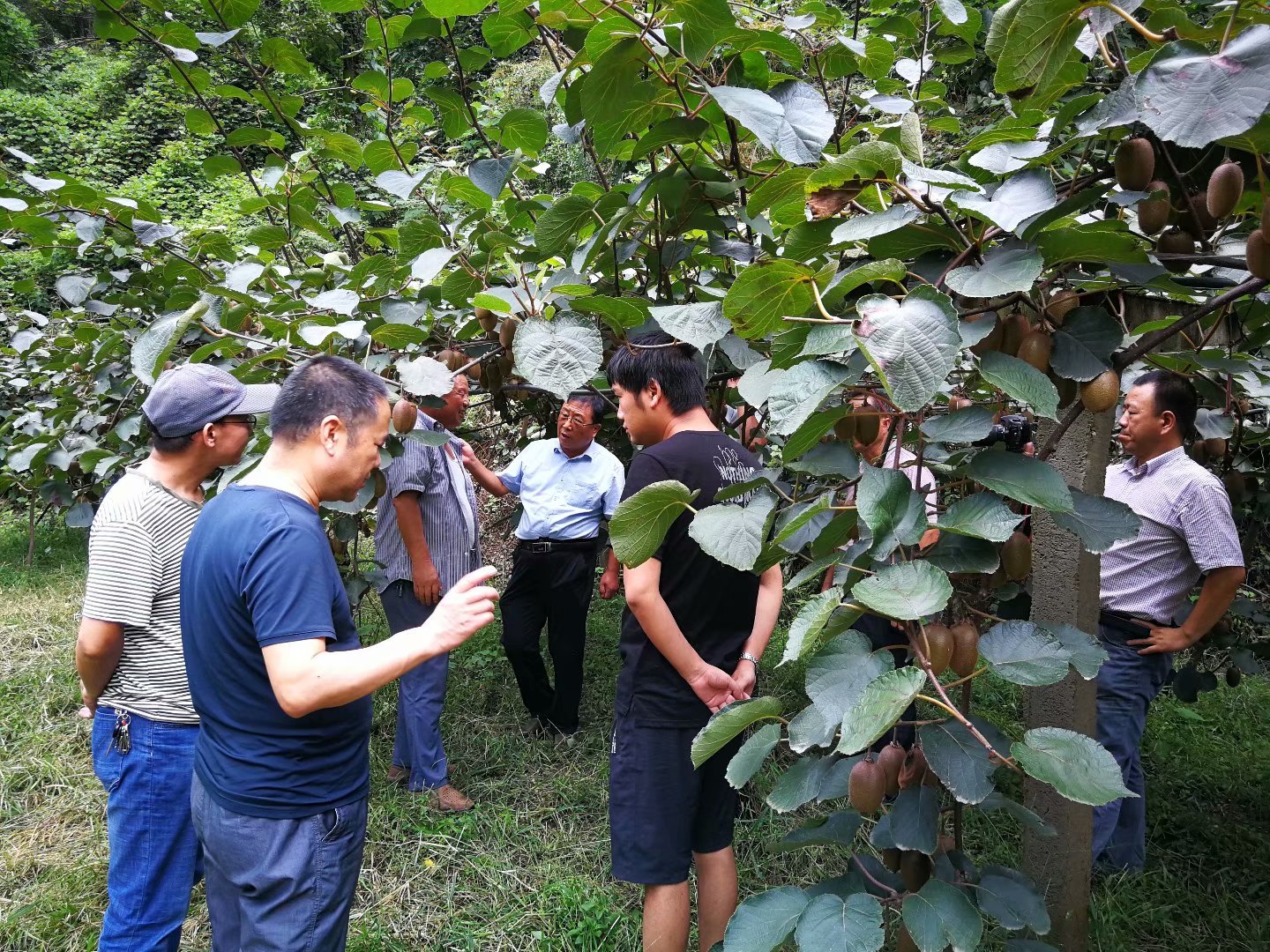 &#107;&#97;&#105;&#121;&#117;&#110;&#20307;&#32946;&#23448;&#26041;&#32593;&#31449;&#20840;&#31449;&#20837;&#21475;&#40;&#107;&#97;&#105;&#121;&#117;&#110;&#41;&#40;&#20013;&#22269;&#41;&#23448;&#32593;&#20837;&#21475;&#30331;&#24405;